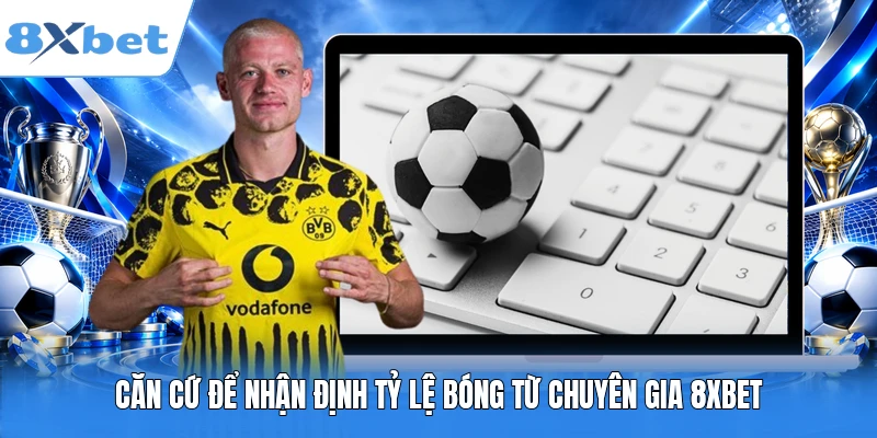 Căn cứ để nhận định tỷ lệ bóng từ chuyên gia 8XBET