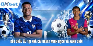 Kèo Châu Âu Tại Nhà Cái 8XBET Minh Bạch Và Xanh Chín