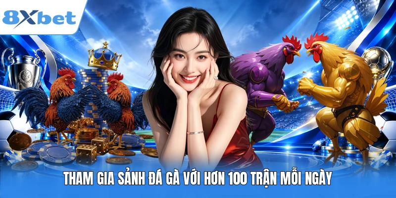 Tham gia sảnh đá gà với hơn 100 trận mỗi ngày
